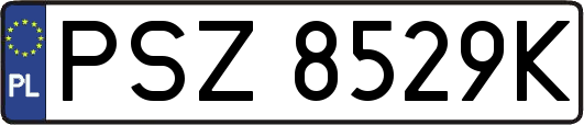 PSZ8529K