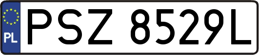 PSZ8529L