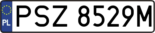 PSZ8529M