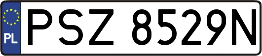 PSZ8529N