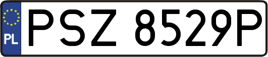 PSZ8529P