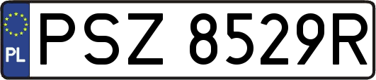 PSZ8529R