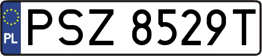 PSZ8529T