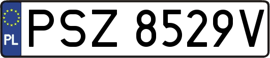 PSZ8529V