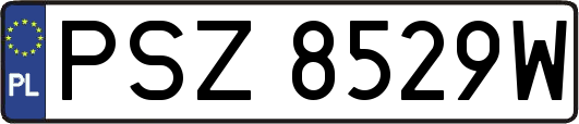 PSZ8529W