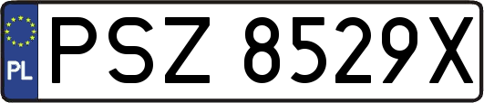 PSZ8529X