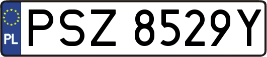 PSZ8529Y