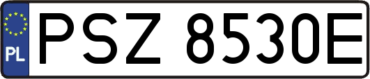 PSZ8530E