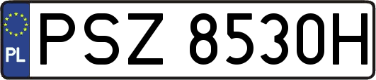 PSZ8530H