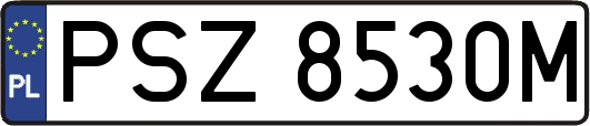 PSZ8530M