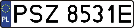 PSZ8531E