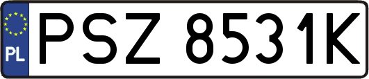 PSZ8531K