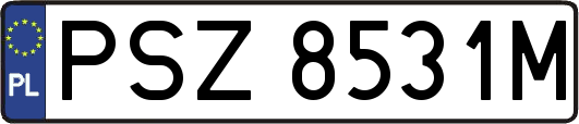 PSZ8531M