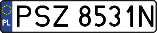 PSZ8531N