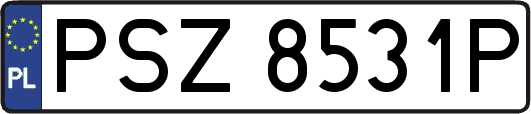 PSZ8531P