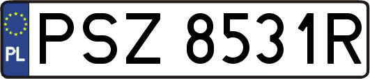 PSZ8531R
