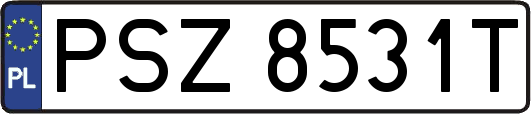 PSZ8531T