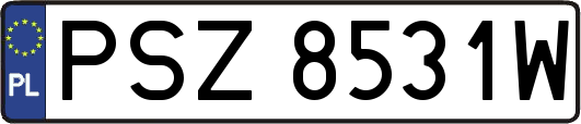 PSZ8531W