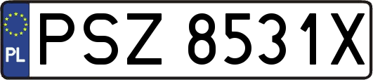 PSZ8531X