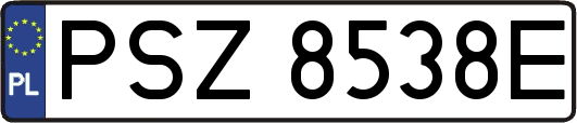 PSZ8538E