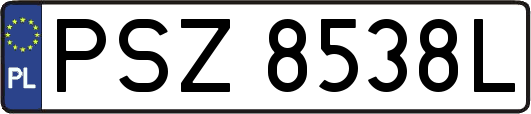 PSZ8538L