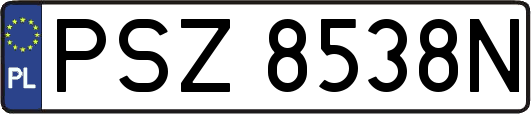 PSZ8538N