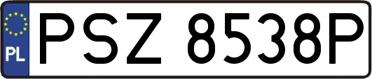 PSZ8538P