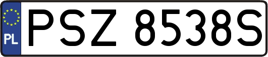PSZ8538S