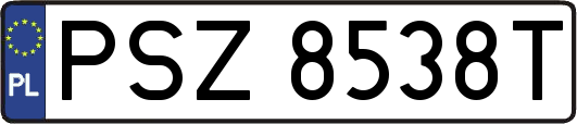 PSZ8538T