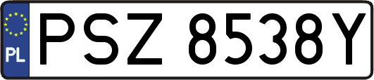 PSZ8538Y