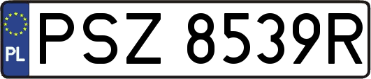 PSZ8539R