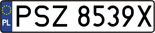 PSZ8539X