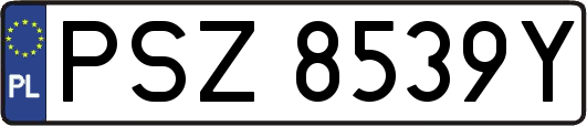 PSZ8539Y