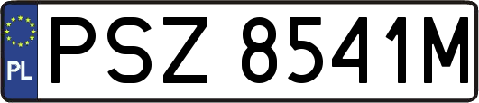 PSZ8541M