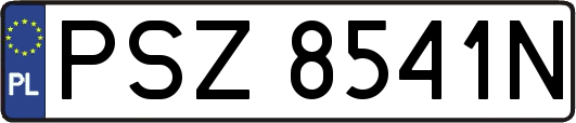 PSZ8541N