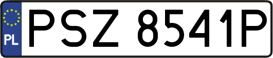 PSZ8541P