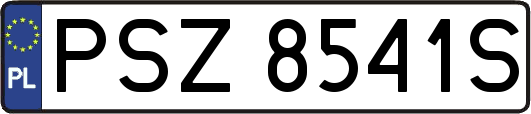 PSZ8541S