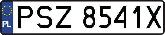PSZ8541X