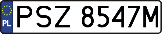 PSZ8547M