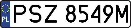 PSZ8549M