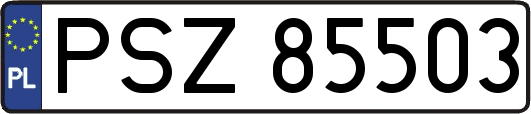 PSZ85503