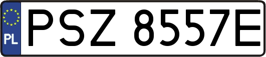PSZ8557E