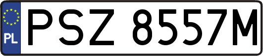 PSZ8557M