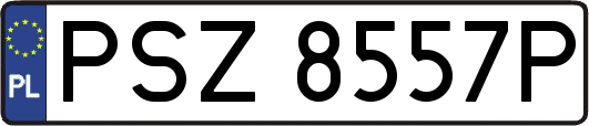 PSZ8557P