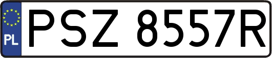 PSZ8557R