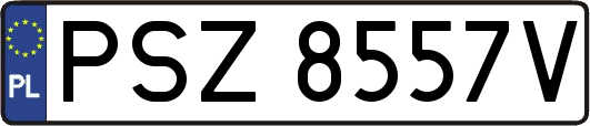 PSZ8557V