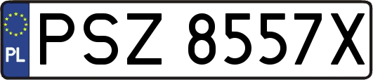 PSZ8557X