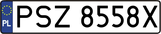 PSZ8558X