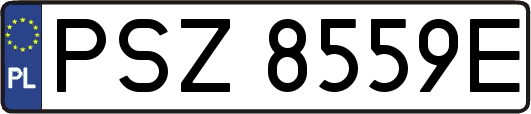 PSZ8559E