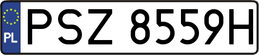 PSZ8559H